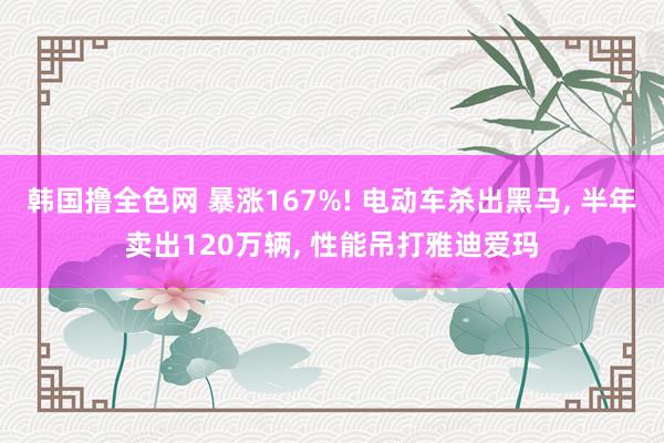 韩国撸全色网 暴涨167%! 电动车杀出黑马， 半年卖出120万辆， 性能吊打雅迪爱玛