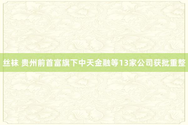 丝袜 贵州前首富旗下中天金融等13家公司获批重整