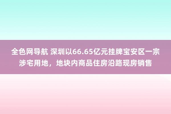 全色网导航 深圳以66.65亿元挂牌宝安区一宗涉宅用地，地块内商品住房沿路现房销售