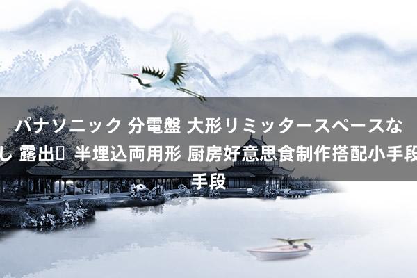 パナソニック 分電盤 大形リミッタースペースなし 露出・半埋込両用形 厨房好意思食制作搭配小手段