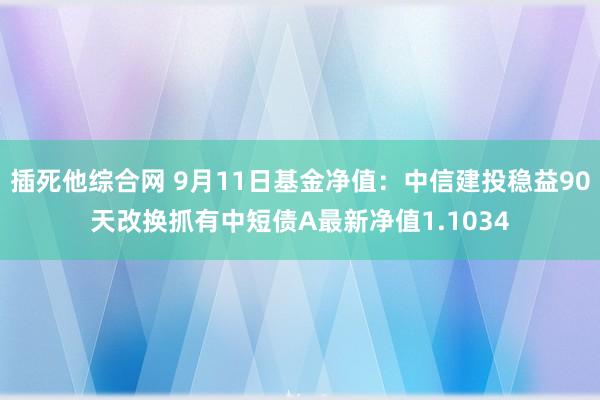 插死他综合网 9月11日基金净值：中信建投稳益90天改换抓有中短债A最新净值1.1034