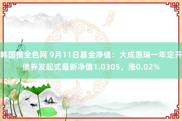 韩国撸全色网 9月11日基金净值：大成惠瑞一年定开债券发起式最新净值1.0305，涨0.02%