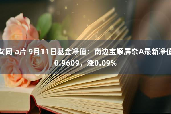 女同 a片 9月11日基金净值：南边宝顺羼杂A最新净值0.9609，涨0.09%