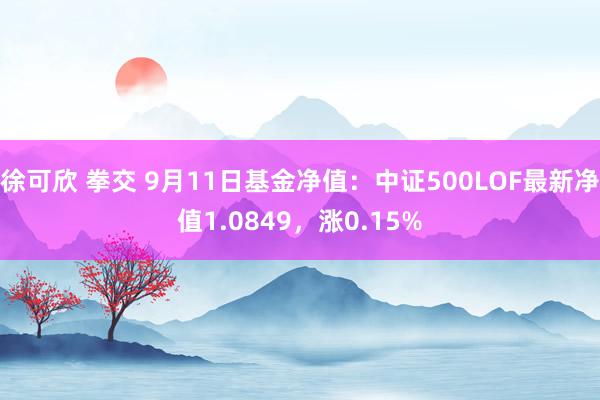 徐可欣 拳交 9月11日基金净值：中证500LOF最新净值1.0849，涨0.15%