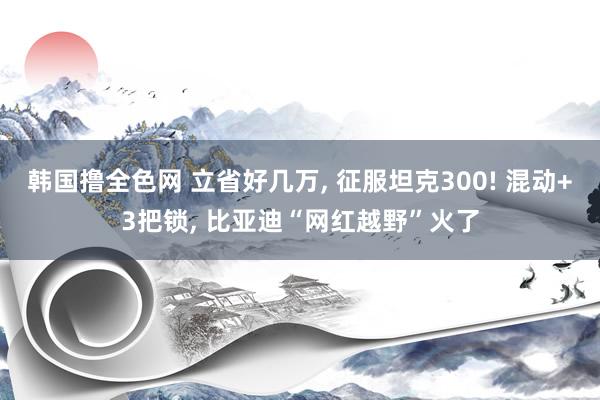 韩国撸全色网 立省好几万， 征服坦克300! 混动+3把锁， 比亚迪“网红越野”火了