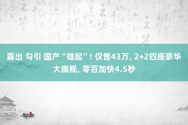 露出 勾引 国产“雄起”! 仅售43万， 2+2四座豪华大旗舰， 零百加快4.5秒