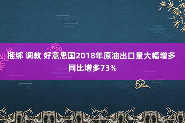 捆绑 调教 好意思国2018年原油出口量大幅增多 同比增多73%