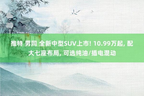 推特 男同 全新中型SUV上市! 10.99万起， 配大七座布局， 可选纯油/插电混动