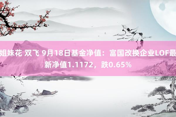 姐妹花 双飞 9月18日基金净值：富国改换企业LOF最新净值1.1172，跌0.65%