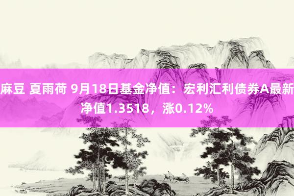 麻豆 夏雨荷 9月18日基金净值：宏利汇利债券A最新净值1.3518，涨0.12%