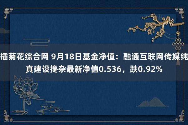 插菊花综合网 9月18日基金净值：融通互联网传媒纯真建设搀杂最新净值0.536，跌0.92%