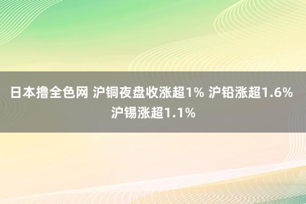 日本撸全色网 沪铜夜盘收涨超1% 沪铅涨超1.6% 沪锡涨超1.1%