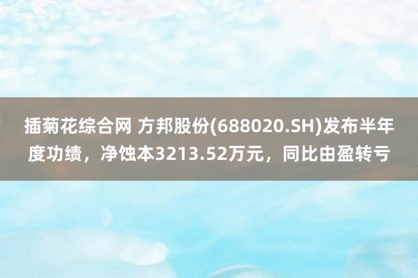 插菊花综合网 方邦股份(688020.SH)发布半年度功绩，净蚀本3213.52万元，同比由盈转亏