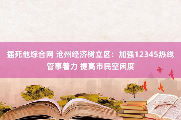 插死他综合网 沧州经济树立区：加强12345热线管事着力 提高市民空闲度