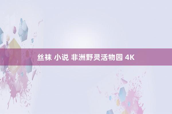 丝袜 小说 非洲野灵活物园 4K