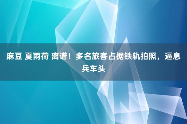 麻豆 夏雨荷 离谱！多名旅客占据铁轨拍照，逼息兵车头