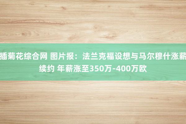 插菊花综合网 图片报：法兰克福设想与马尔穆什涨薪续约 年薪涨至350万-400万欧