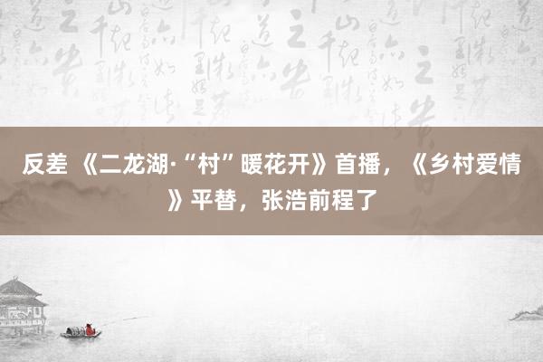 反差 《二龙湖·“村”暖花开》首播，《乡村爱情》平替，张浩前程了