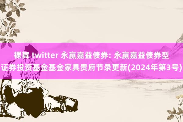 裸舞 twitter 永赢嘉益债券: 永赢嘉益债券型证券投资基金基金家具贵府节录更新(2024年第3号)