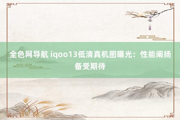 全色网导航 iqoo13低清真机图曝光：性能阐扬备受期待