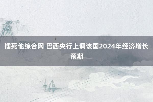 插死他综合网 巴西央行上调该国2024年经济增长预期