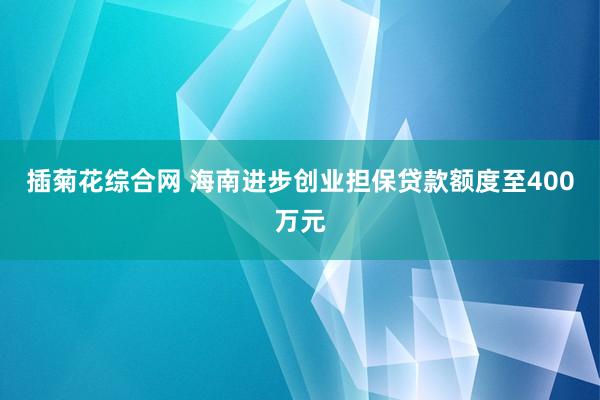 插菊花综合网 海南进步创业担保贷款额度至400万元