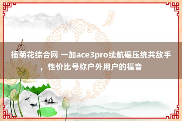 插菊花综合网 一加ace3pro续航碾压统共敌手，性价比号称户外用户的福音