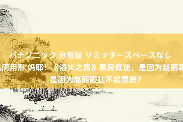 パナソニック 分電盤 リミッタースペースなし 露出・半埋込両用形 妈耶！《浴火之路》票房低迷，是因为赵丽颖扛不起票房？