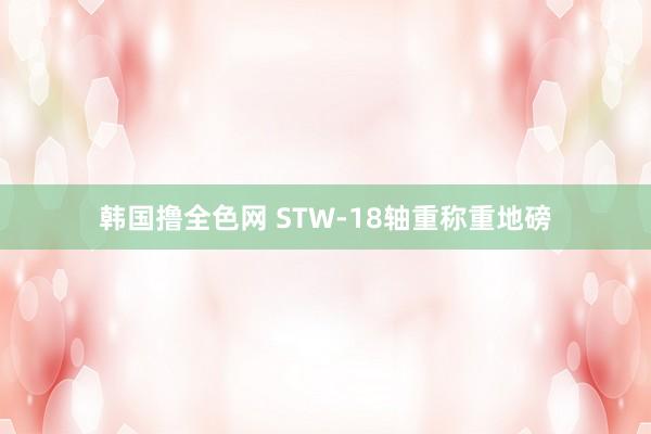 韩国撸全色网 STW-18轴重称重地磅