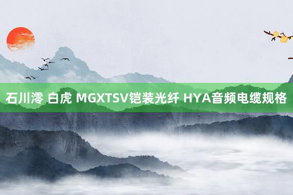 石川澪 白虎 MGXTSV铠装光纤 HYA音频电缆规格