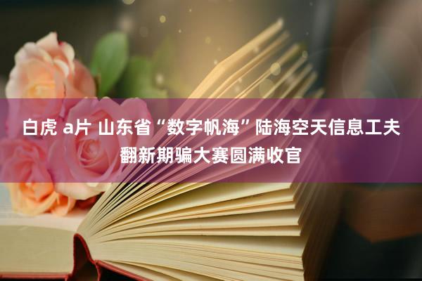 白虎 a片 山东省“数字帆海”陆海空天信息工夫翻新期骗大赛圆满收官