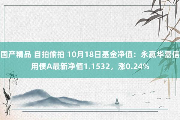 国产精品 自拍偷拍 10月18日基金净值：永赢华嘉信用债A最新净值1.1532，涨0.24%