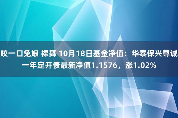 咬一口兔娘 裸舞 10月18日基金净值：华泰保兴尊诚一年定开债最新净值1.1576，涨1.02%