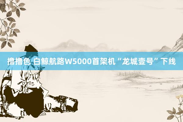 撸撸色 白鲸航路W5000首架机“龙城壹号”下线