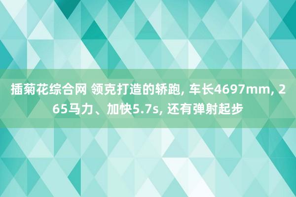 插菊花综合网 领克打造的轿跑， 车长4697mm， 265马力、加快5.7s， 还有弹射起步