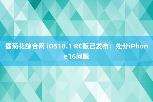 插菊花综合网 iOS18.1 RC版已发布：处分iPhone16问题