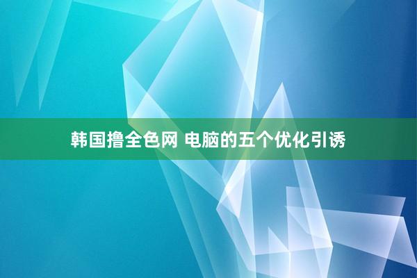 韩国撸全色网 电脑的五个优化引诱