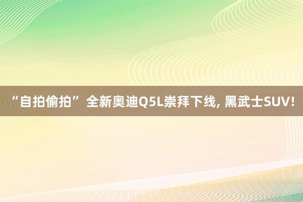 “自拍偷拍” 全新奥迪Q5L崇拜下线， 黑武士SUV!