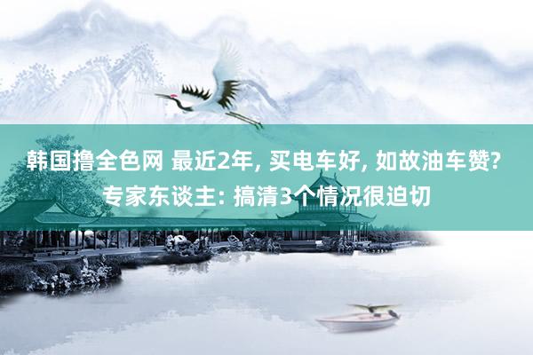 韩国撸全色网 最近2年， 买电车好， 如故油车赞? 专家东谈主: 搞清3个情况很迫切