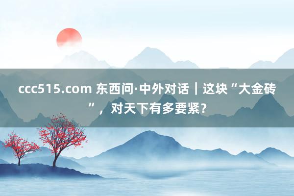 ccc515.com 东西问·中外对话｜这块“大金砖”，对天下有多要紧？