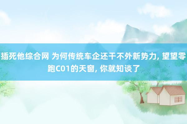 插死他综合网 为何传统车企还干不外新势力， 望望零跑C01的天窗， 你就知谈了