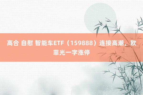 高合 自慰 智能车ETF（159888）连接高潮，欧菲光一字涨停