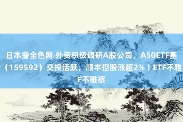 日本撸全色网 外资积极调研A股公司，A50ETF基金（159592）交投活跃，顺丰控股涨超2%丨ETF不雅察