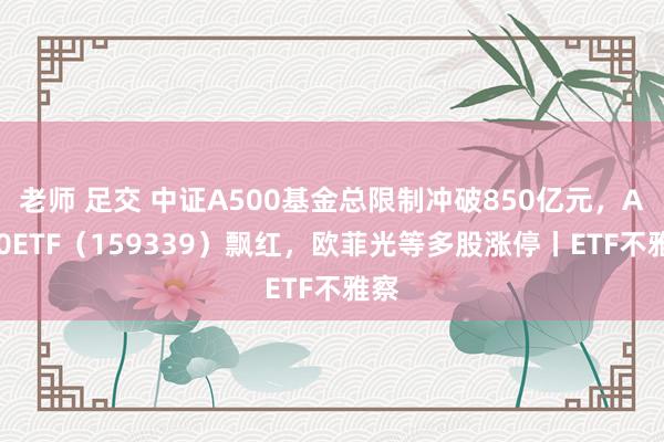 老师 足交 中证A500基金总限制冲破850亿元，A500ETF（159339）飘红，欧菲光等多股涨停丨ETF不雅察