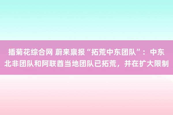 插菊花综合网 蔚来禀报“拓荒中东团队”：中东北非团队和阿联酋当地团队已拓荒，并在扩大限制