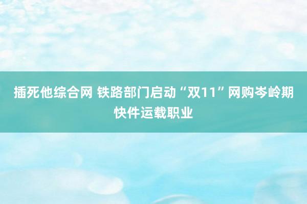 插死他综合网 铁路部门启动“双11”网购岑岭期快件运载职业