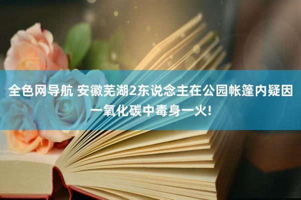 全色网导航 安徽芜湖2东说念主在公园帐篷内疑因一氧化碳中毒身一火!