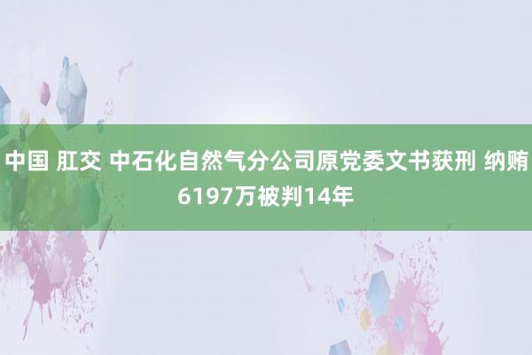 中国 肛交 中石化自然气分公司原党委文书获刑 纳贿6197万被判14年