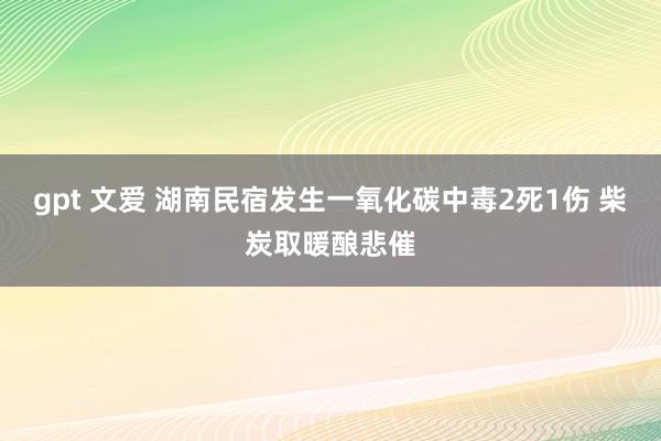 gpt 文爱 湖南民宿发生一氧化碳中毒2死1伤 柴炭取暖酿悲催