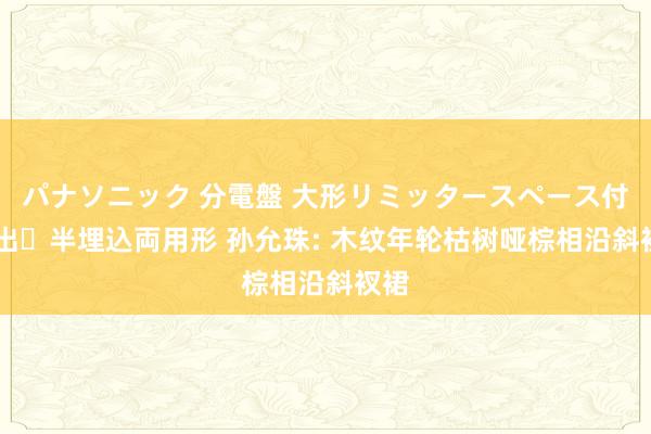 パナソニック 分電盤 大形リミッタースペース付 露出・半埋込両用形 孙允珠: 木纹年轮枯树哑棕相沿斜衩裙